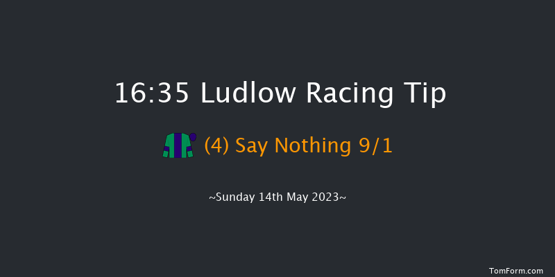 Ludlow 16:35 Handicap Hurdle (Class 5) 21f Tue 9th May 2023
