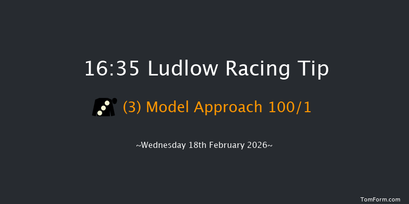 Ludlow 16-35 (Class 5) 15f Wed 4th Feb 2026