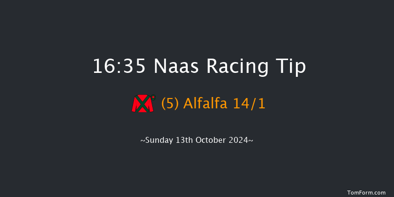 Naas  16:35 Handicap 10f Sat 12th Oct 2024