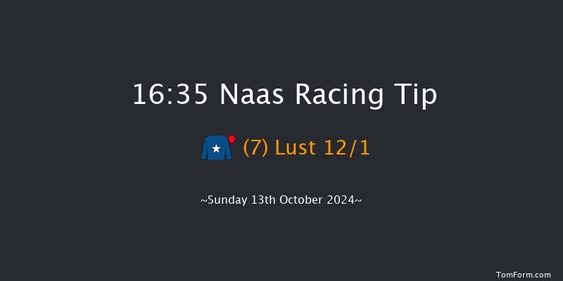 Naas  16:35 Handicap 10f Sat 12th Oct 2024