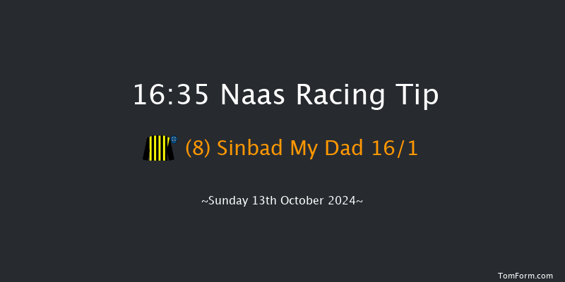 Naas  16:35 Handicap 10f Sat 12th Oct 2024