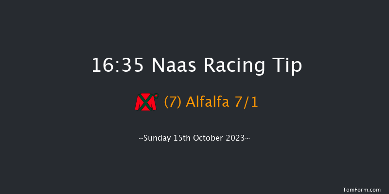 Naas 16:35 Handicap 10f Sat 14th Oct 2023