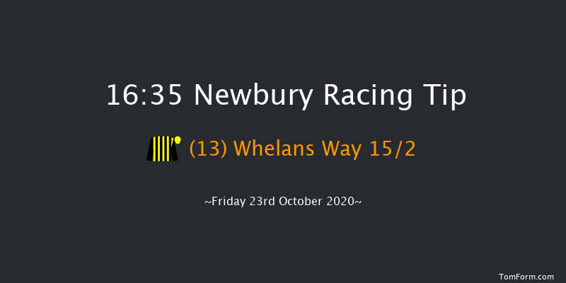 Rayner Bosch Car Services Handicap Newbury 16:35 Handicap (Class 3) 6f Sat 19th Sep 2020