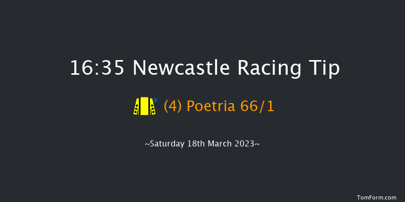 Newcastle 16:35 Handicap Hurdle (Class 5) 20f Fri 17th Mar 2023