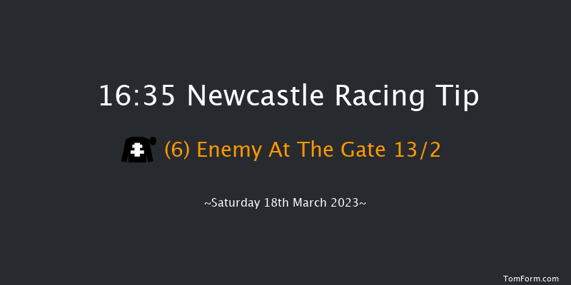 Newcastle 16:35 Handicap Hurdle (Class 5) 20f Fri 17th Mar 2023