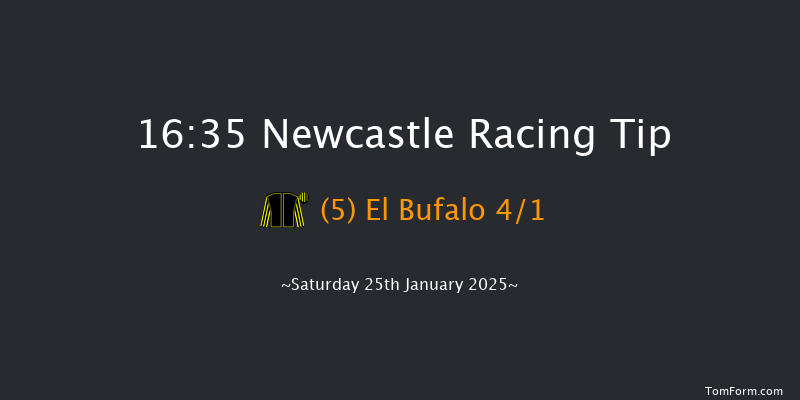 Newcastle  16:35 Handicap (Class 4) 5f Thu 23rd Jan 2025