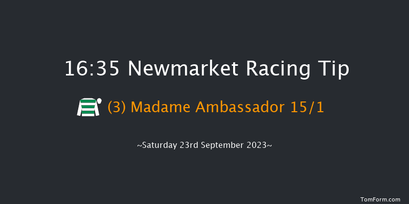 Newmarket 16:35 Handicap (Class 3) 10f Sat 26th Aug 2023