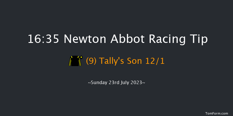 Newton Abbot 16:35 Handicap Hurdle (Class 5) 17f Mon 17th Jul 2023