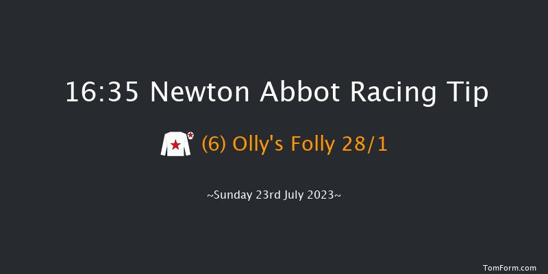 Newton Abbot 16:35 Handicap Hurdle (Class 5) 17f Mon 17th Jul 2023