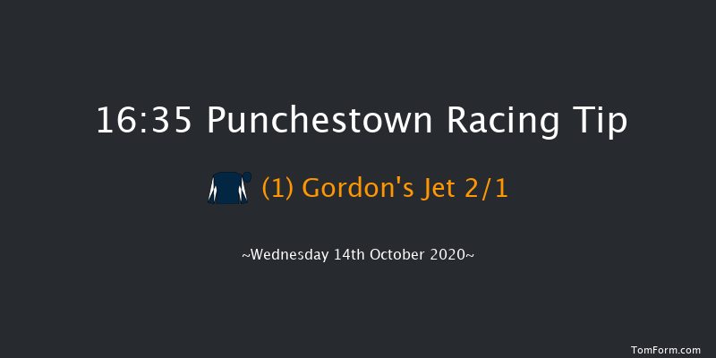 Punchestown Flat Race Punchestown 16:35 NH Flat Race 16f Tue 13th Oct 2020