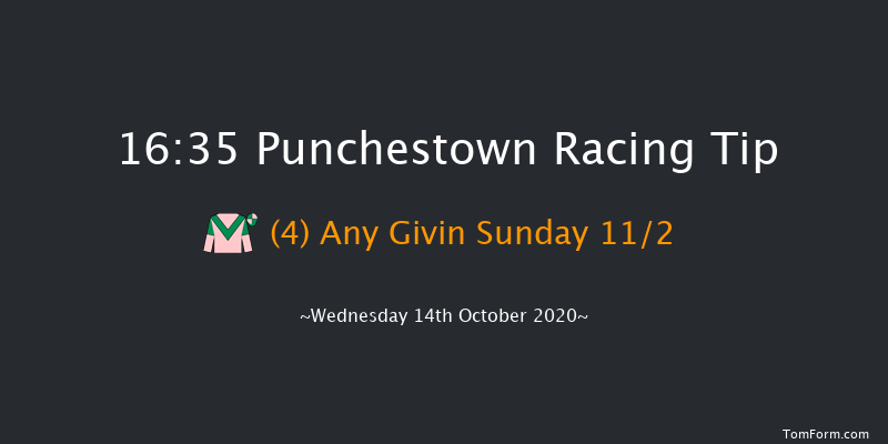 Punchestown Flat Race Punchestown 16:35 NH Flat Race 16f Tue 13th Oct 2020