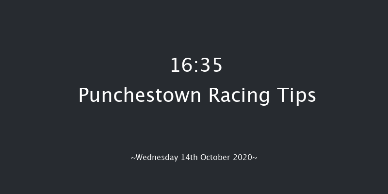 Punchestown Flat Race Punchestown 16:35 NH Flat Race 16f Tue 13th Oct 2020