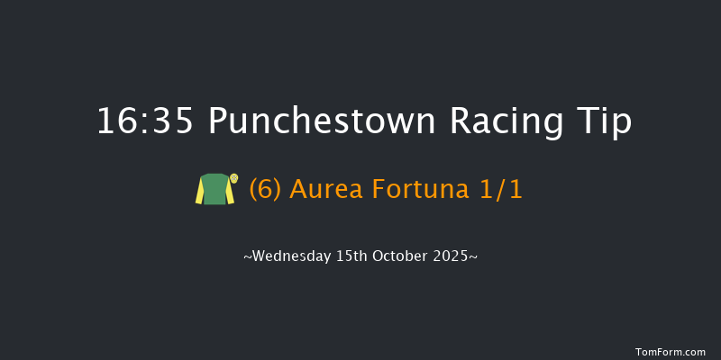 Punchestown 16-35 23f Tue 14th Oct 2025