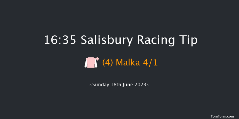 Salisbury 16:35 Stakes (Class 5) 10f Tue 13th Jun 2023