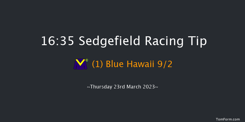 Sedgefield 16:35 Handicap Chase (Class 5) 19f Thu 23rd Feb 2023