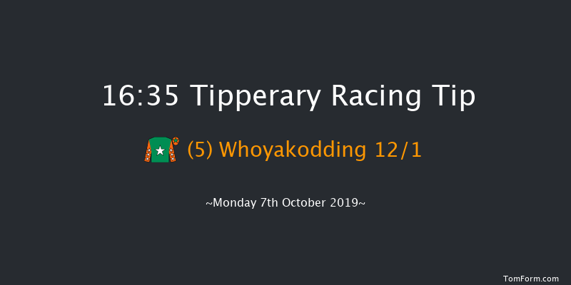 Tipperary 16:35 Handicap Chase 20f Sun 6th Oct 2019