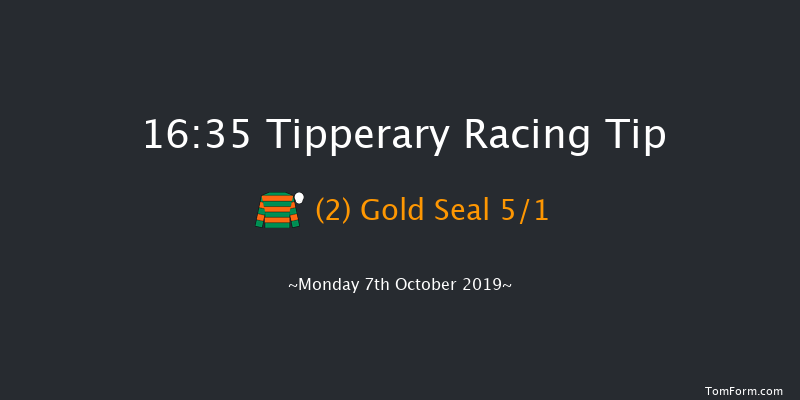 Tipperary 16:35 Handicap Chase 20f Sun 6th Oct 2019