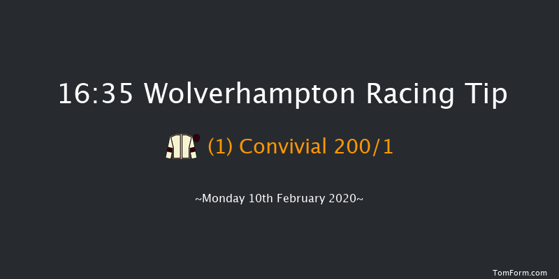 Ladbrokes Home Of The Odds Boost Fillies' Novice Stakes Wolverhampton 16:35 Stakes (Class 5) 10f Sat 8th Feb 2020