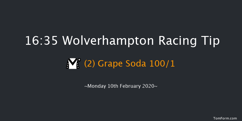Ladbrokes Home Of The Odds Boost Fillies' Novice Stakes Wolverhampton 16:35 Stakes (Class 5) 10f Sat 8th Feb 2020