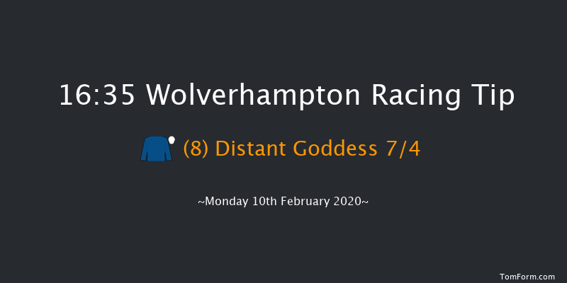 Ladbrokes Home Of The Odds Boost Fillies' Novice Stakes Wolverhampton 16:35 Stakes (Class 5) 10f Sat 8th Feb 2020