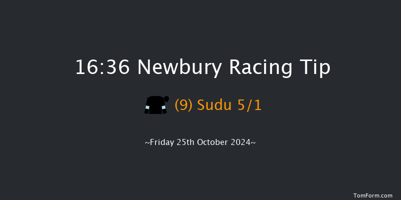 Newbury  16:36 Stakes (Class 4) 8f Sat 21st Sep 2024