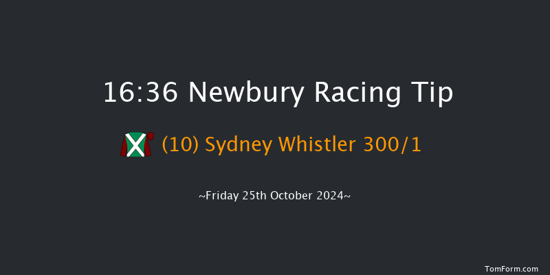 Newbury  16:36 Stakes (Class 4) 8f Sat 21st Sep 2024