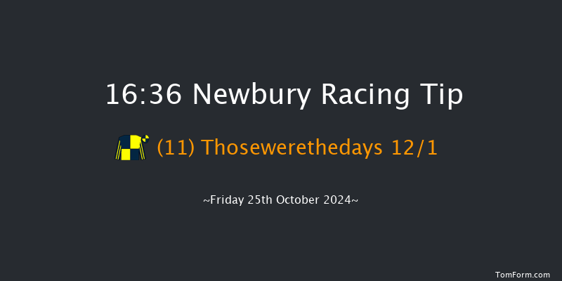 Newbury  16:36 Stakes (Class 4) 8f Sat 21st Sep 2024