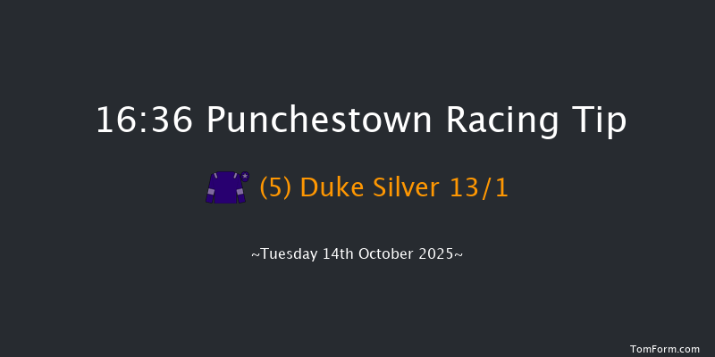 Punchestown 16-36 23f Tue 16th Sep 2025