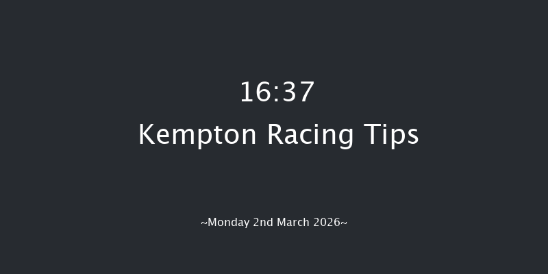 Kempton 16-37 (Class 3) 11f Wed 25th Feb 2026