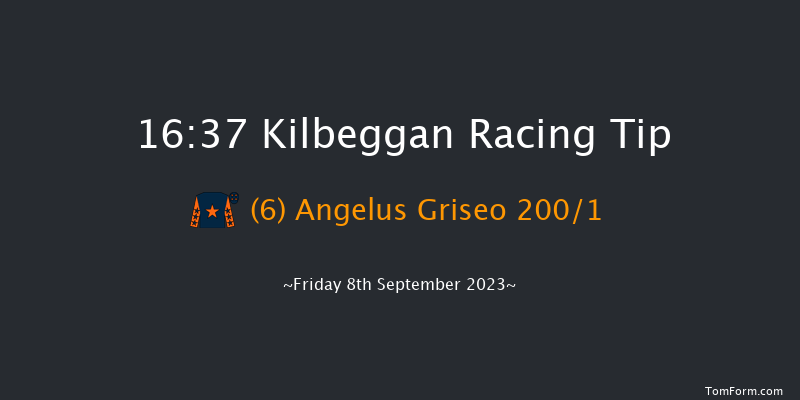 Kilbeggan 16:37 Maiden Hurdle 19f Fri 25th Aug 2023