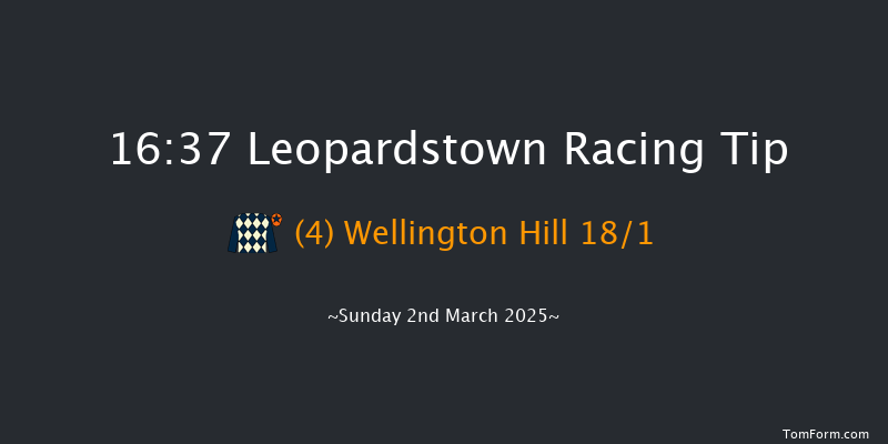 Leopardstown  16:37 Handicap Chase 28f Sun 2nd Feb 2025