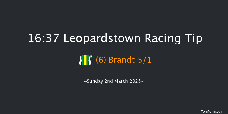 Leopardstown  16:37 Handicap Chase 28f Sun 2nd Feb 2025