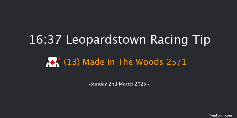 Leopardstown  16:37 Handicap Chase 28f Sun 2nd Feb 2025