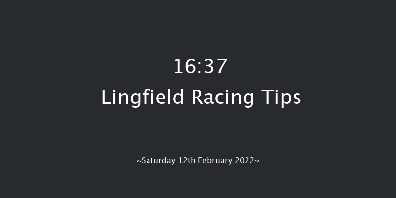Lingfield 16:37 Stakes (Class 5) 8f Sat 5th Feb 2022