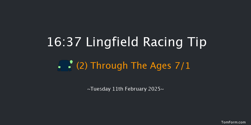 Lingfield  16:37 Handicap Hurdle (Class 5) 16f Fri 7th Feb 2025