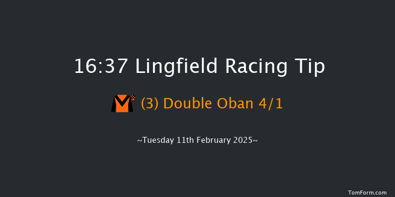 Lingfield  16:37 Handicap Hurdle (Class 5) 16f Fri 7th Feb 2025