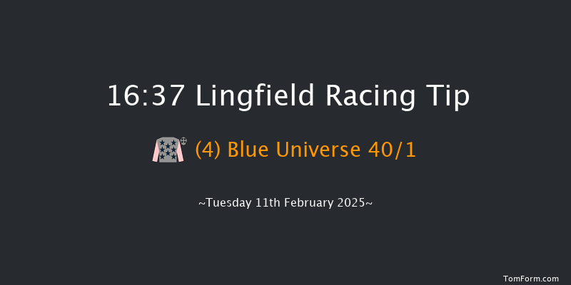 Lingfield  16:37 Handicap Hurdle (Class 5) 16f Fri 7th Feb 2025