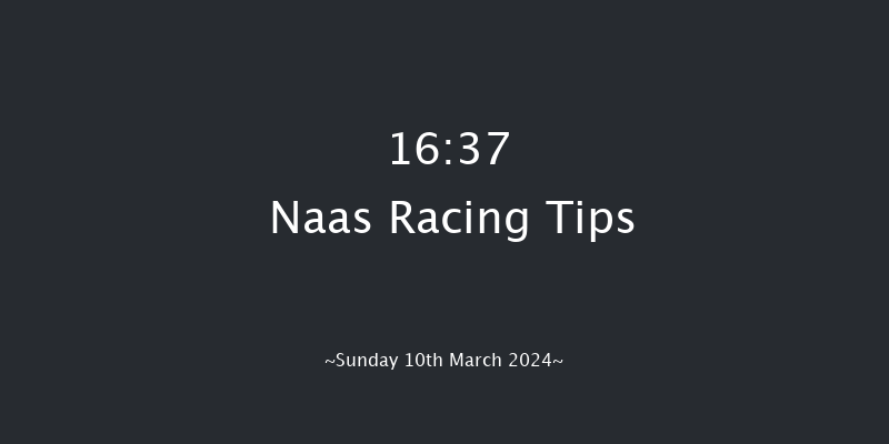 Naas  16:37 Handicap Chase 25f Sun 25th Feb 2024