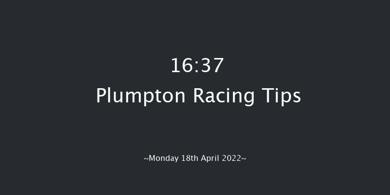Plumpton 16:37 Handicap Hurdle (Class 4) 20f Sun 17th Apr 2022