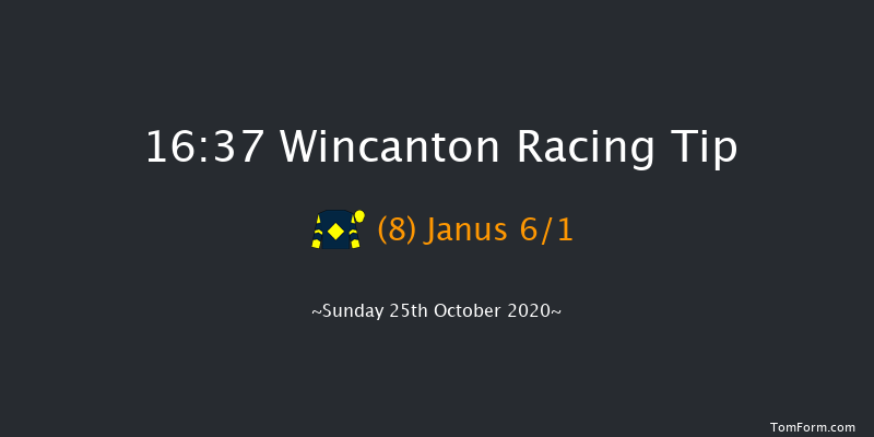 Lara Telfer Reined In For Racing Welfare Handicap Hurdle Wincanton 16:37 Handicap Hurdle (Class 4) 15f Thu 15th Oct 2020