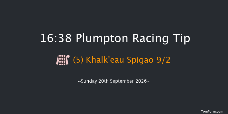 Plumpton 16-38 (Class 5) 20f Tue 26th May 2026