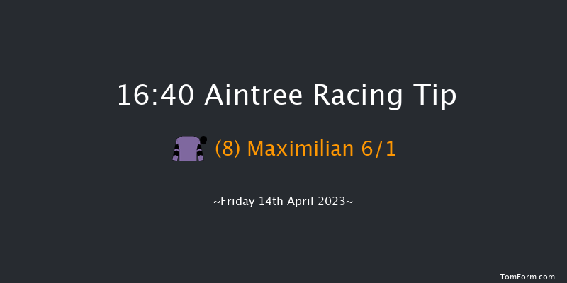 Aintree 16:40 Novices Hurdle (Class 1) 25f Thu 13th Apr 2023