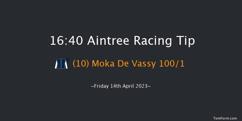 Aintree 16:40 Novices Hurdle (Class 1) 25f Thu 13th Apr 2023