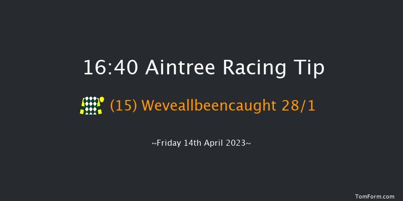 Aintree 16:40 Novices Hurdle (Class 1) 25f Thu 13th Apr 2023