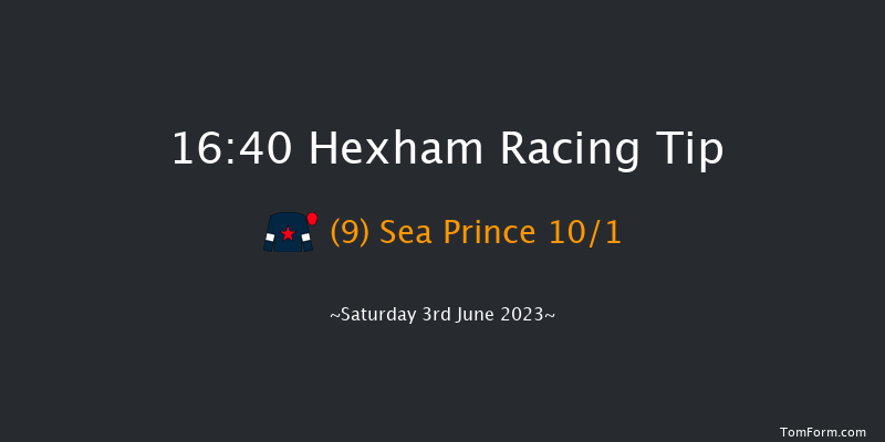 Hexham 16:40 Handicap Hurdle (Class 5) 20f Tue 23rd May 2023
