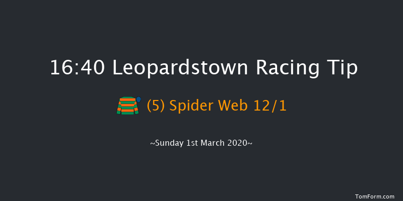TRI Equestrian Handicap Chase (Grade B) Leopardstown 16:40 Handicap Chase 21f Sun 2nd Feb 2020