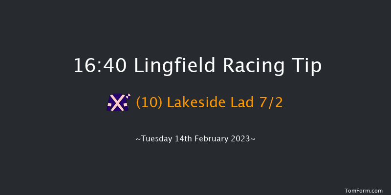 Lingfield 16:40 Handicap Hurdle (Class 5) 23f Sat 11th Feb 2023