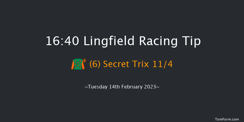 Lingfield 16:40 Handicap Hurdle (Class 5) 23f Sat 11th Feb 2023