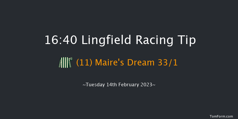Lingfield 16:40 Handicap Hurdle (Class 5) 23f Sat 11th Feb 2023
