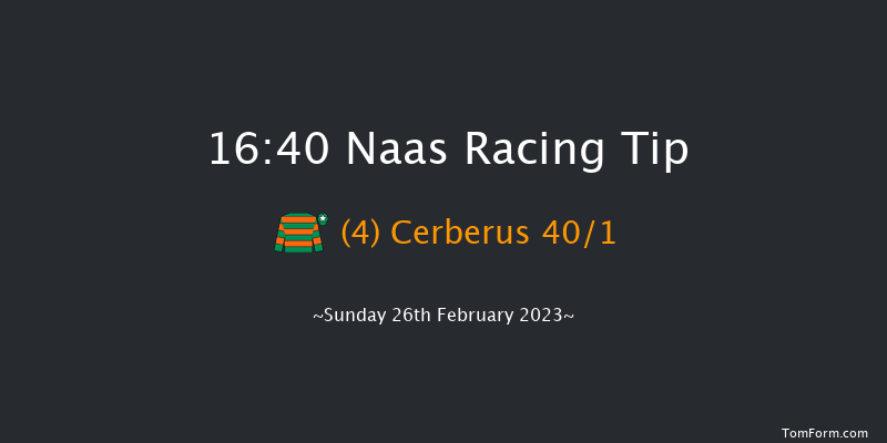 Naas 16:40 Handicap Hurdle 16f Sat 11th Feb 2023